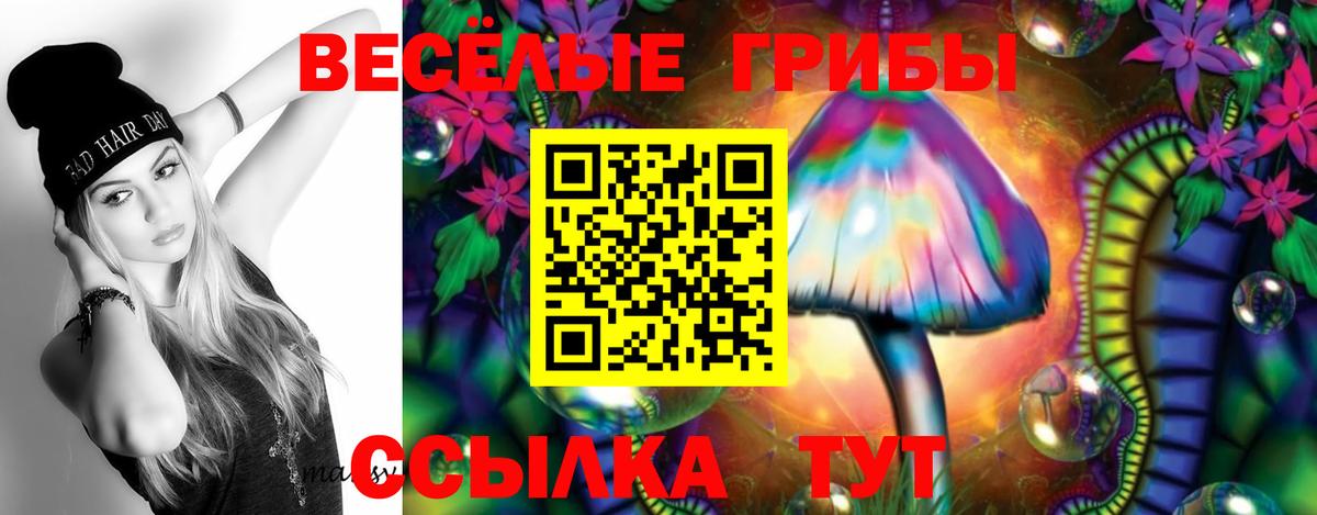 Галлюциногенные грибы Cubensis Татарск